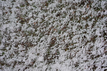 light snow on the ground over grass
