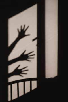 Hand Shadows