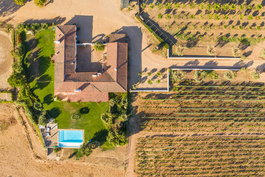 Aerial view of Vineyard estate, Portugal.