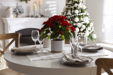 Fototapeta na wymiar Christmas traditional flower Poinsettia on table with festive setting in room
