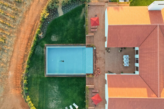 Aerial view of Vineyard estate, Portugal.