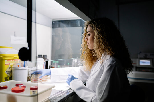 Biologist working in a laboratory