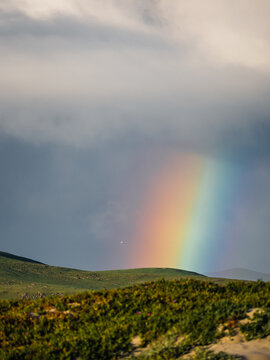 Green landscape with rainbow