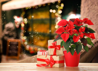 Christmas traditional poinsettia flower and gift boxes on wooden table on blurred background, space...