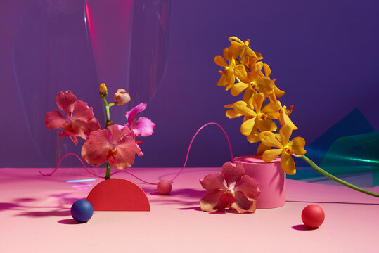 Orchid flowers on a colorful background