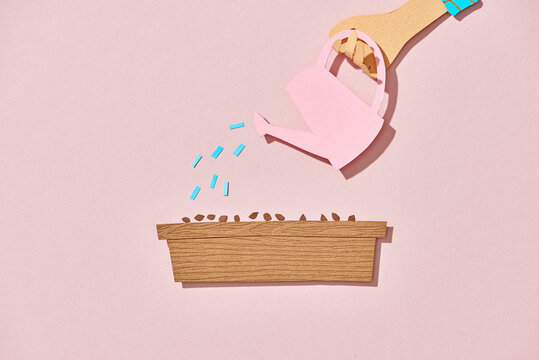 Watering can pouring water on sapling sprout in soil tray