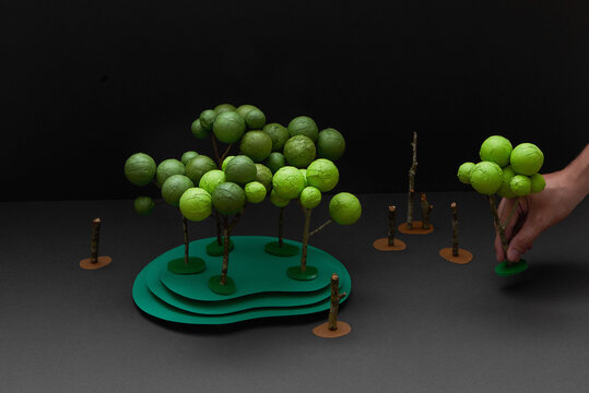 Afforest for make a green forest, plant a tree