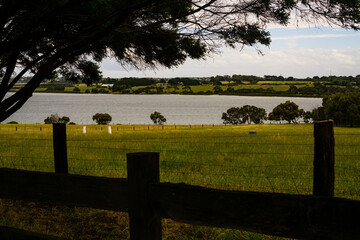 Lake surrounded by well maintained grass and trees