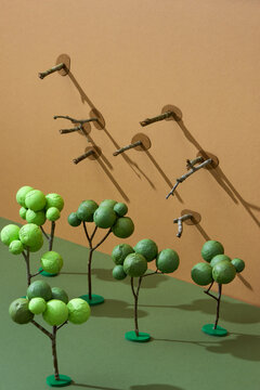 Ecology concept change tree forest drought and forest refreshing.