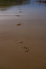 Foot print on wet sand
