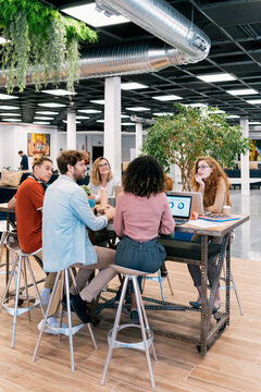 Portrait of Coworkers Working Together in Office