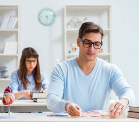 Obraz premium Two medical students studying in classroom