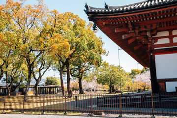 Toji temple at spring in Kyoto, Japan
