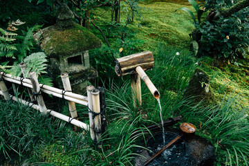 Giouji temple green garden in Kyoto, Japan