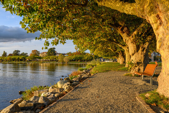 Germany, Baden-Wurttemberg,ÔøΩRadolfzell,ÔøΩEmpty park bench on shore of Lake Constance at dusk - Powered by Adobe