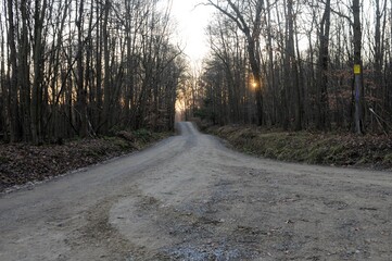 the old dirt road at sunset