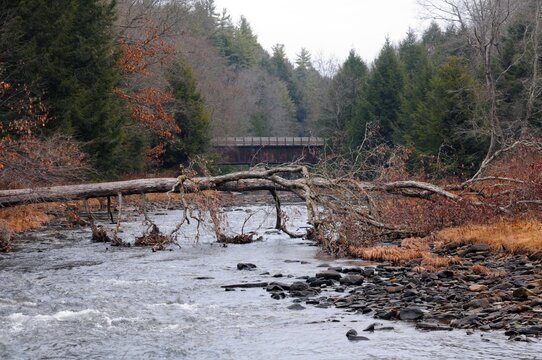 Sandy Creek In The Winter