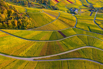 Germany, Baden-Wurttemberg, Rotenberg, Aerial view of vast countryside vineyards at autumn dusk