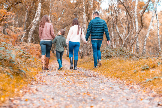 Family holding hands walking in Cannock Chase park during autumn