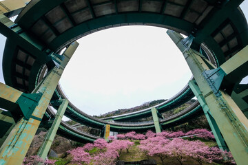 静岡県伊豆のループ橋
