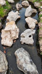 Big white rocks laid in the stream.