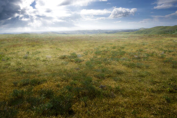 Meadow field