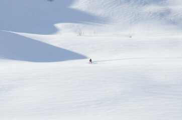 Fototapeta premium Snowmobile in Alaska