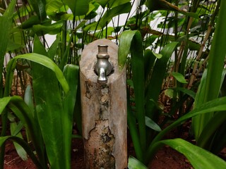 Sink in the garden 