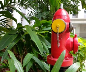Red fire hydrant in the garden 