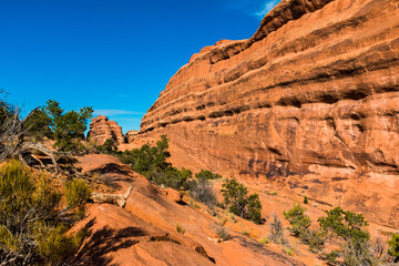 Fototapeta premium The Red Sandstone Fins of Fin Valley on The Devils Garden Primitive Trail, Arches National Park, Utah, USA