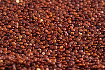 Background of Red Quinoa Closeup