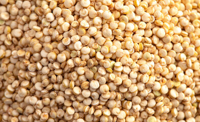 Background of Quinoa Closeup