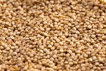 Background of Quinoa Closeup