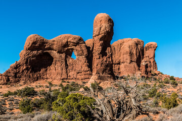 The Parade of Elephants Formation in The Windows Section, Arches National Park, USA