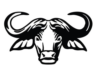 Breeding cattle. head of a bull. vector sketch on white background