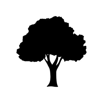 Isolated tree on the white background. tree silhouettes. Tree hand drawn. Vector EPS 10.