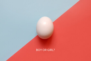 Egg on a pink and blue background. Birth of a boy or girl in the family. Not knowing the child's gender