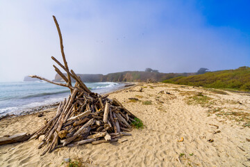 Driftwood structure on the Beach, Ocean, Sand