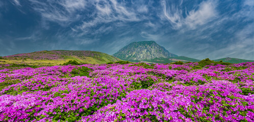 Fototapeta premium Halla Mountain