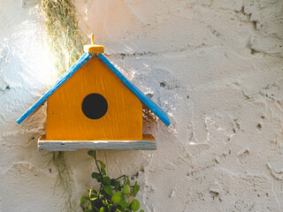 Bird's nest made into a wooden house shape