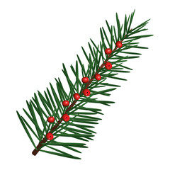 happy merry christmas fir leaf tree with seeds