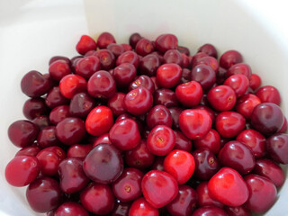 Freshly Picked Sweet Cherries In A Bucket