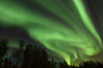 Alaskan aurora borealis dancing in a winter sky