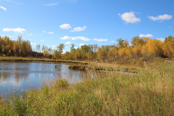 Fototapeta na wymiar Autumn At The Pond, Elk Island National Park, Alberta