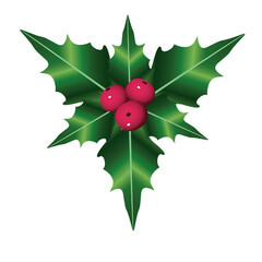 happy merry christmas berries and leafs decorative icon