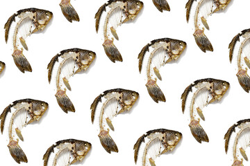 Geometric pattern from fish skeleton that was eaten, leftovers of food. Creative food background.
