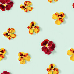 Seamless pattern with natural flowers heartsease on green paper. Small bright blooming buds of flowers pansy.