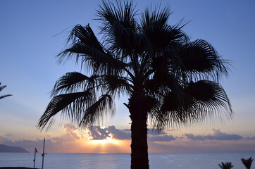 Red Sea in Egypt Sharm El Sheikh at sunrise