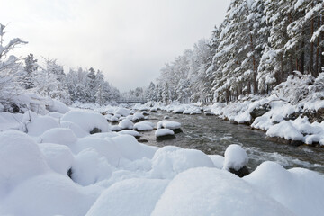 Beautiful winter landscape with snowdrifts and snow-covered forest along the banks of a mountain river in snowfall and foggy day. Christmas holidays in the highlands. Natural cold background