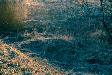 Spring field in frost at sunrise. Beautiful nature background